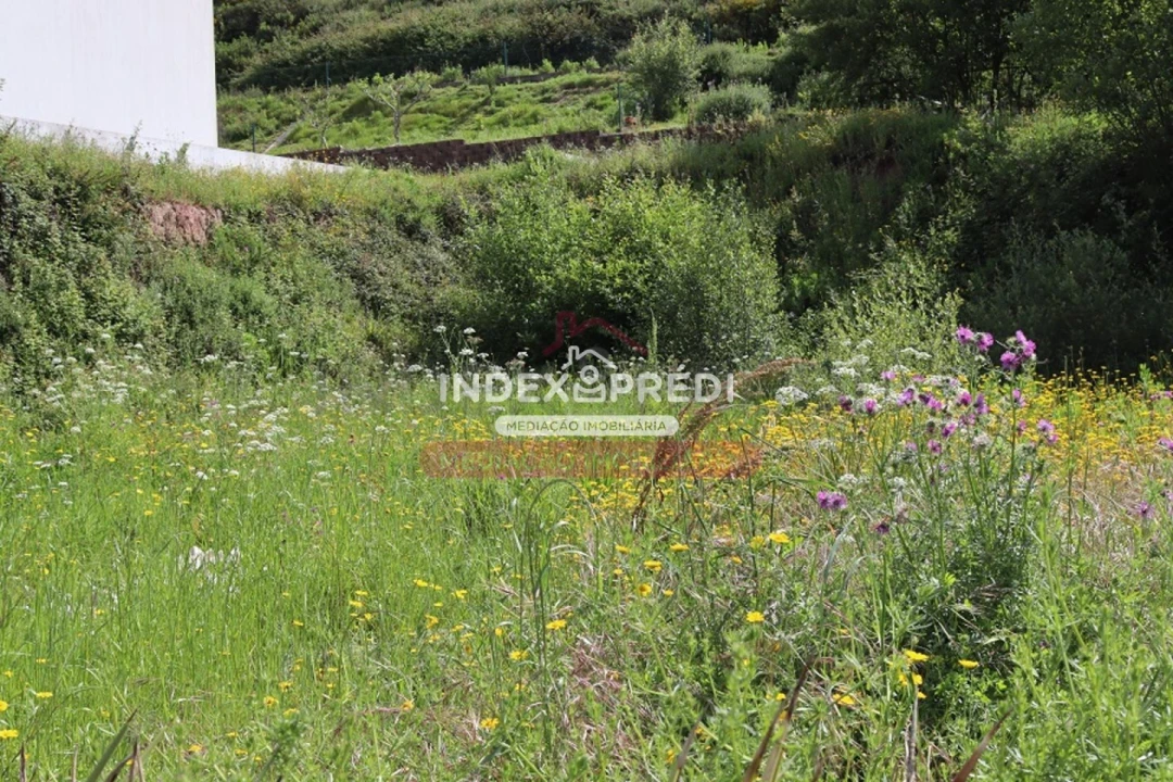 Terreno para Venda em Águeda e Borralha Foto 2