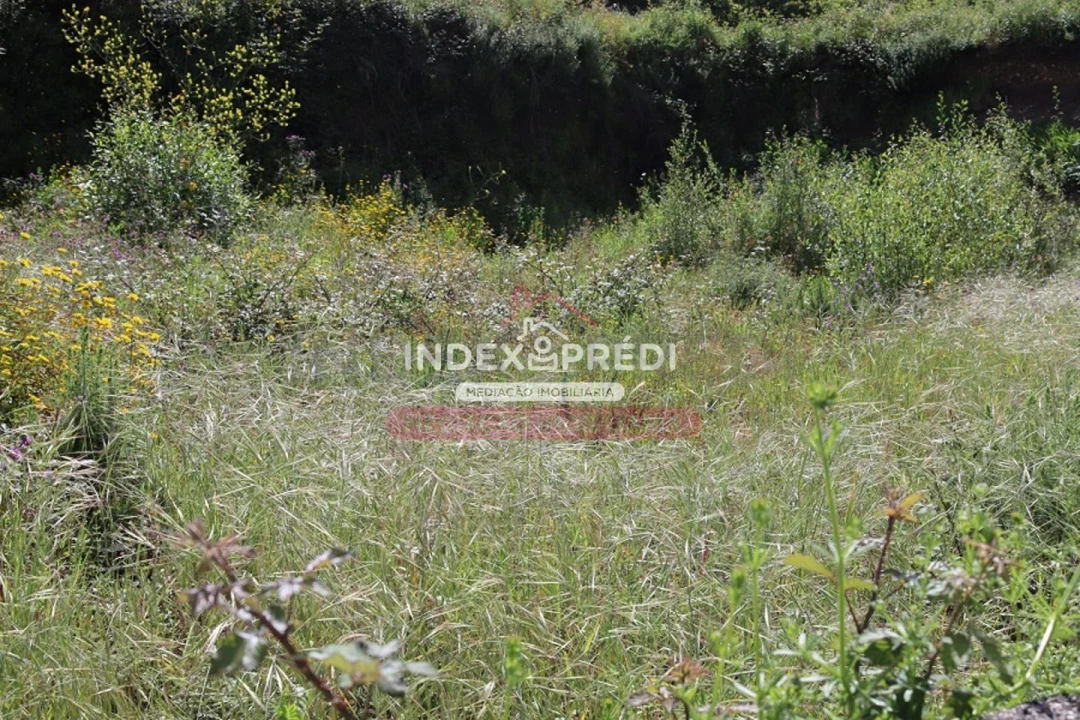 Terreno para Venda em Águeda e Borralha Foto 3