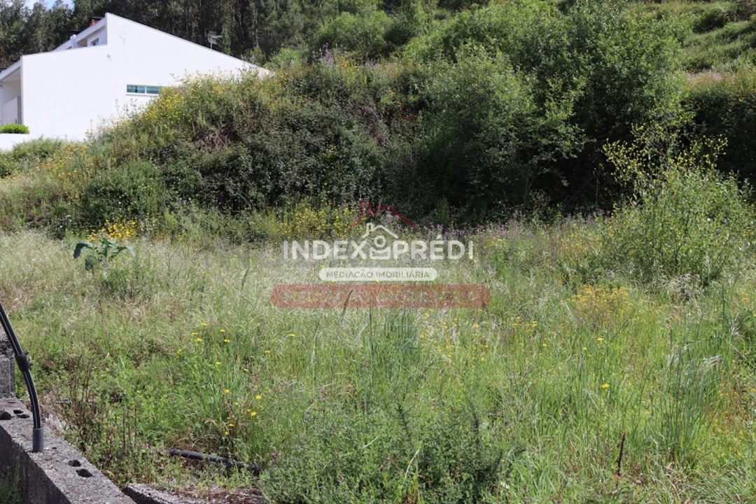 Terreno para Venda em Águeda e Borralha Foto 5