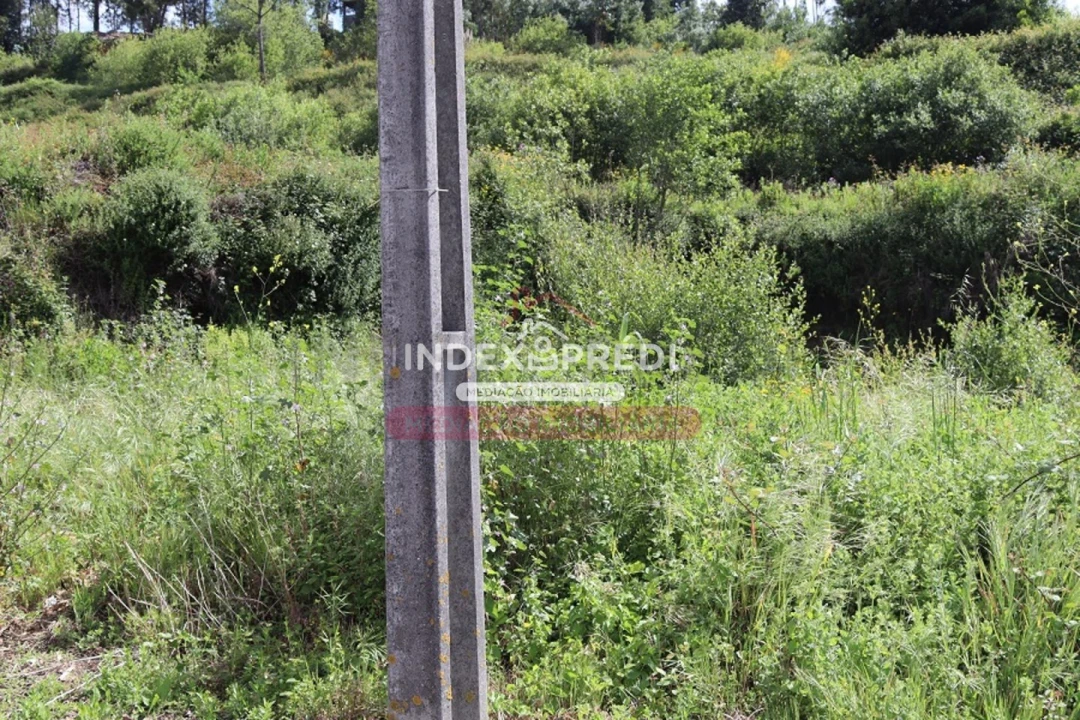 Terreno para Venda em Águeda e Borralha Foto 7