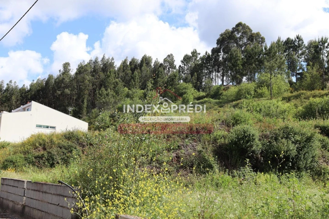 Terreno para Venda em Águeda e Borralha Foto 8