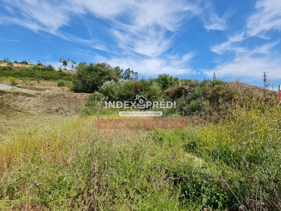Terreno para Venda em Águeda e Borralha Foto 11