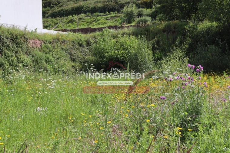 Terreno para Venda em Águeda e Borralha Foto 2