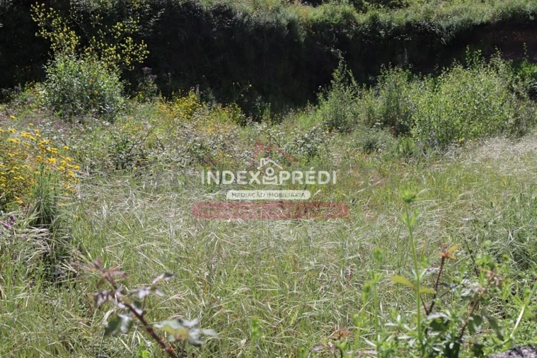 Terreno para Venda em Águeda e Borralha Foto 3