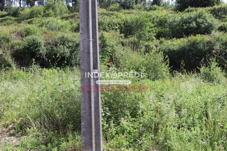 Terreno para Venda em Águeda e Borralha Foto 7