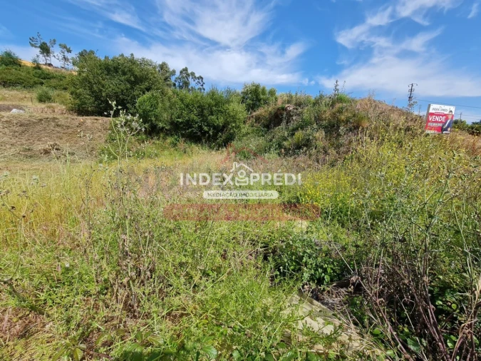 Terreno para Venda em Águeda e Borralha Foto 12