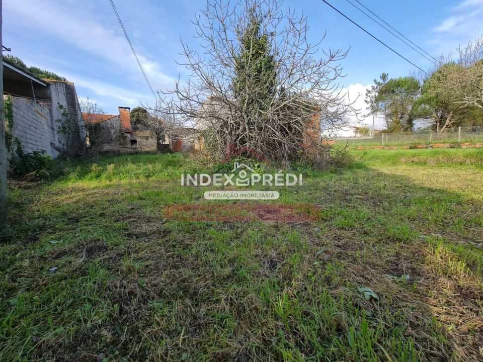 Terreno para Venda em Covões e Camarneira Foto 2