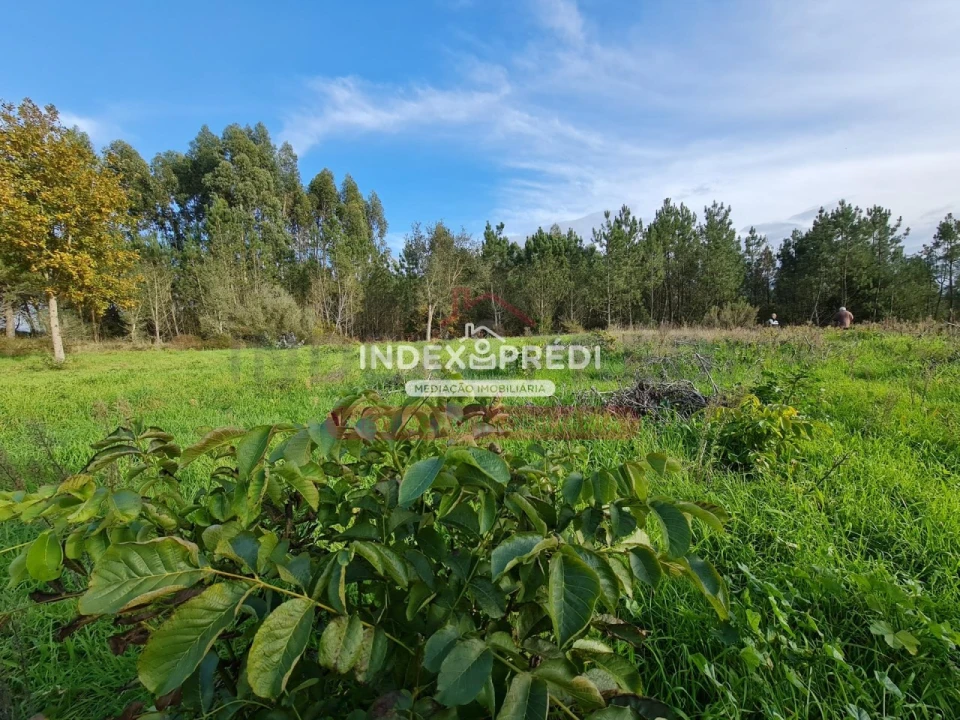 Terreno para Venda em Covões e Camarneira Foto 5