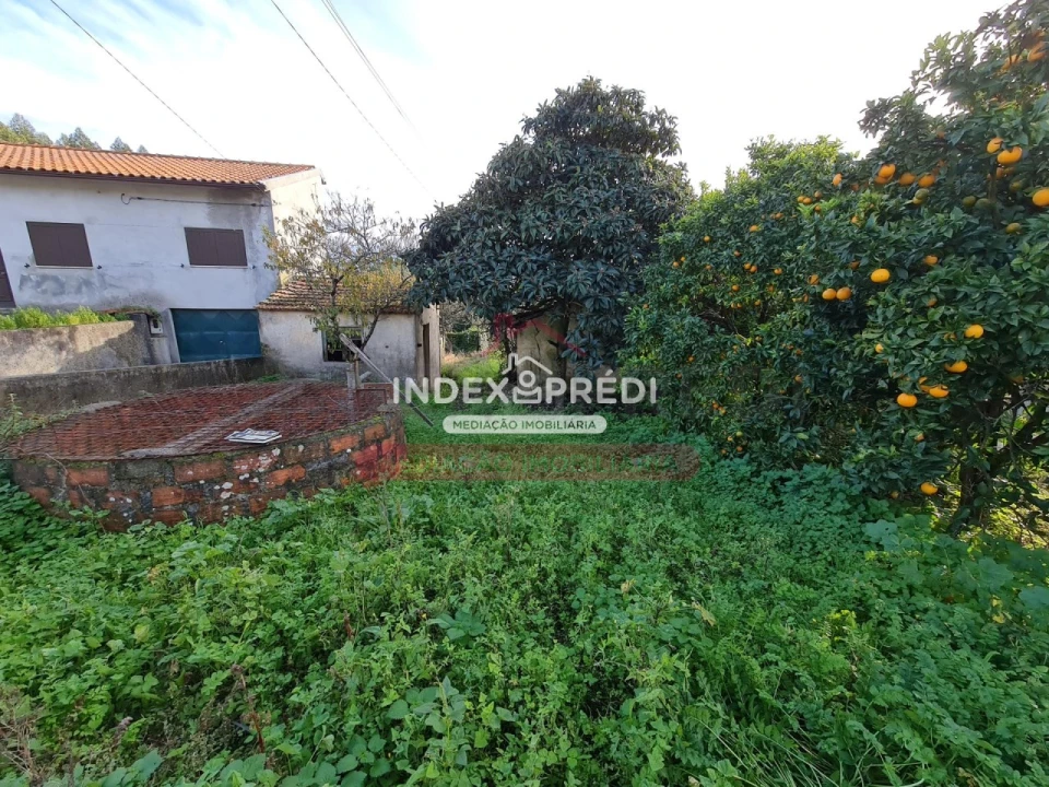 Terreno para Venda em Covões e Camarneira Foto 9