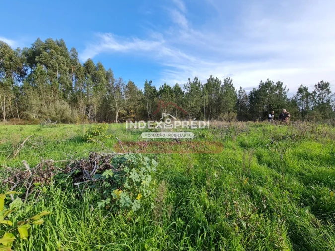 Terreno para Venda em Covões e Camarneira Foto 7
