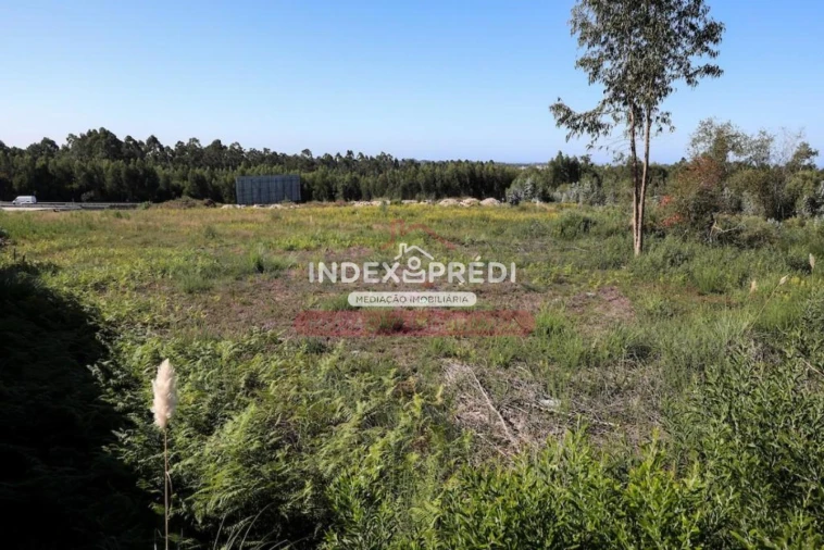 Terreno para Venda em Santa Maria de Lamas Foto 2