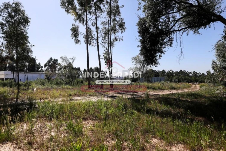 Terreno para Venda em Santa Maria de Lamas Foto 1