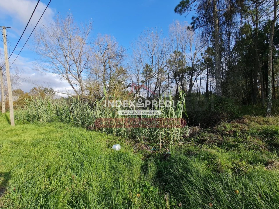 Terreno para Venda em Covões e Camarneira Foto 2