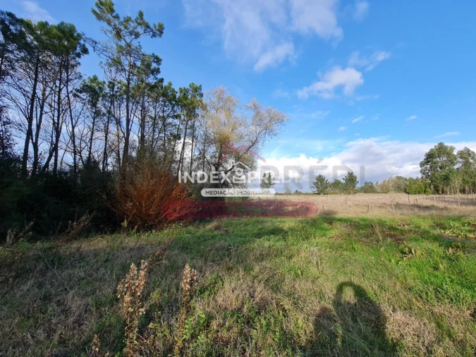 Terreno para Venda em Covões e Camarneira Foto 6