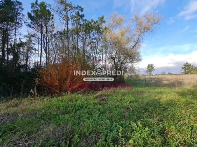 Terreno para Venda em Covões e Camarneira Foto 7