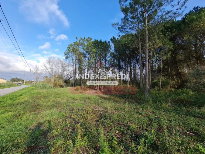 Terreno para Venda em Covões e Camarneira Foto 8