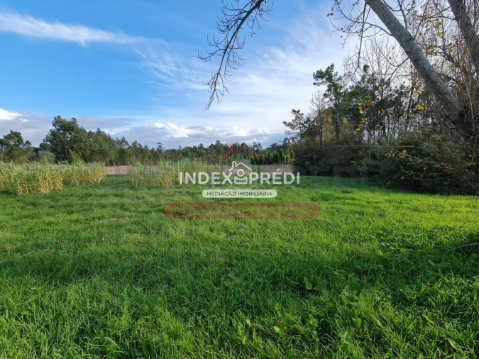 Terreno para Venda em Covões e Camarneira Foto 9