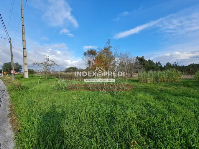 Terreno para Venda em Covões e Camarneira Foto 10