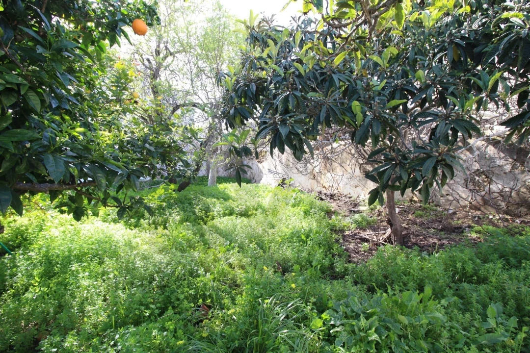 Moradia T3 para Venda em Estômbar e Parchal Foto 15