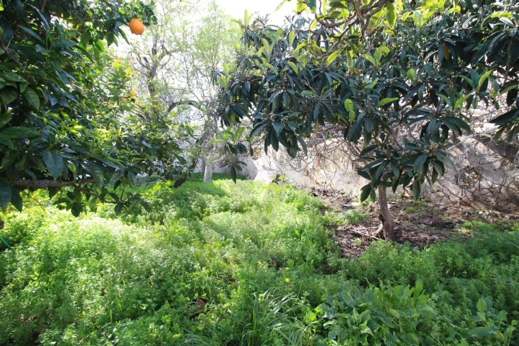 Moradia T3 para Venda em Estômbar e Parchal Foto 15