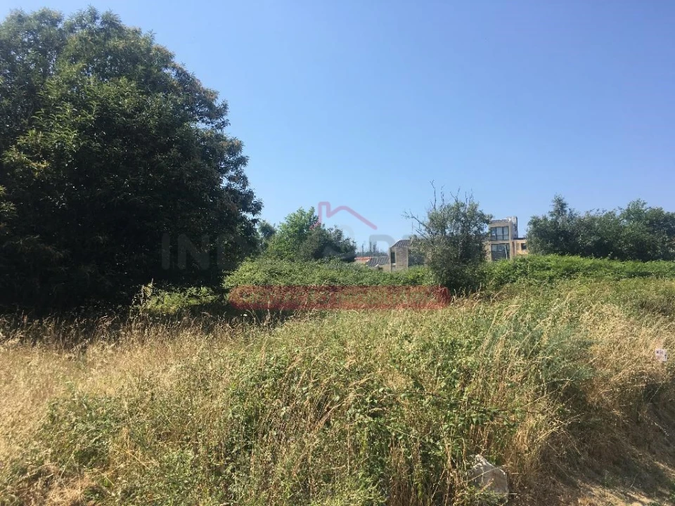 Terreno para Venda em São Pedro do Sul, Várzea e Baiões Foto 2