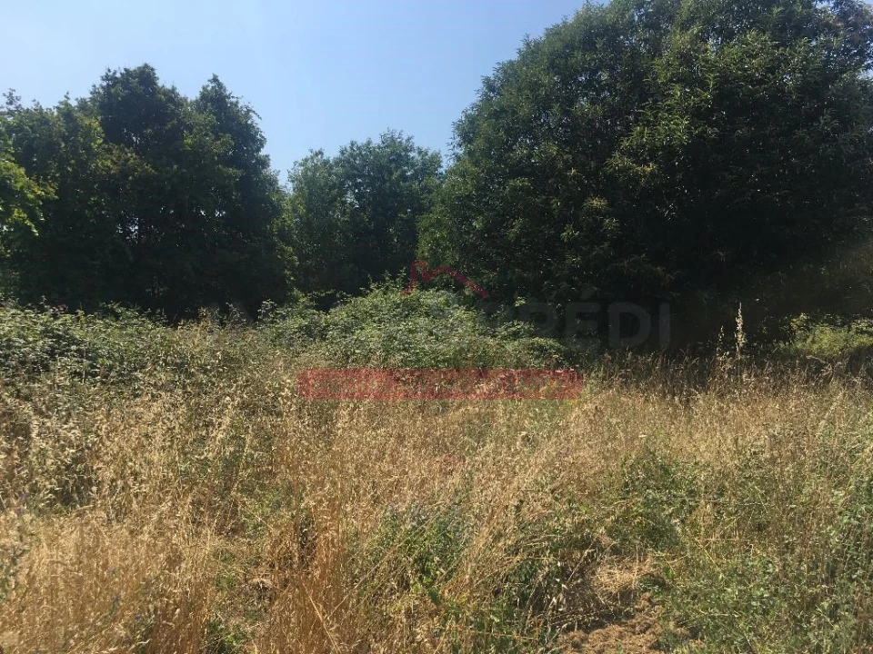 Terreno para Venda em São Pedro do Sul, Várzea e Baiões Foto 4