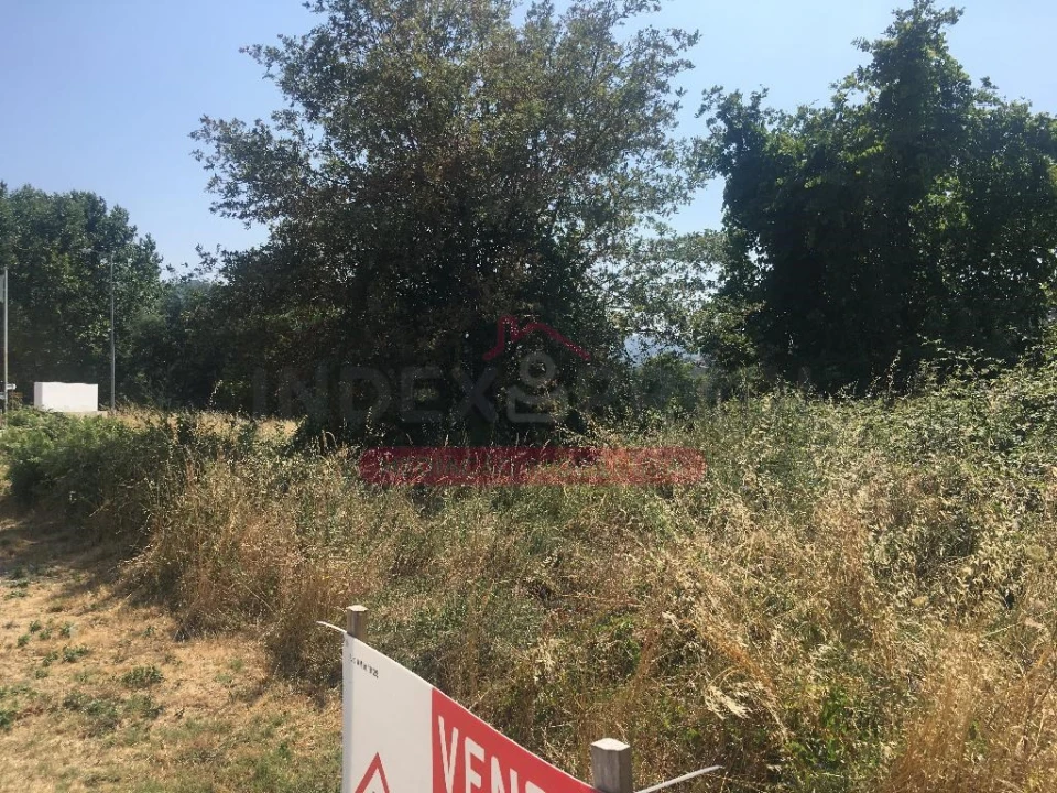 Terreno para Venda em São Pedro do Sul, Várzea e Baiões Foto 7