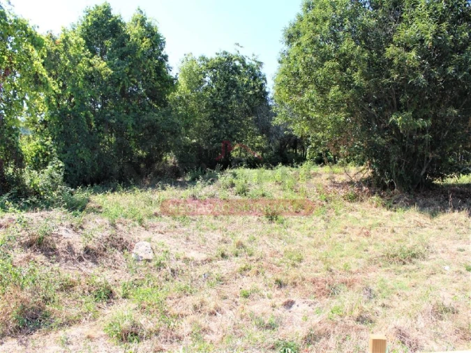 Terreno para Venda em São Pedro do Sul, Várzea e Baiões Foto 3