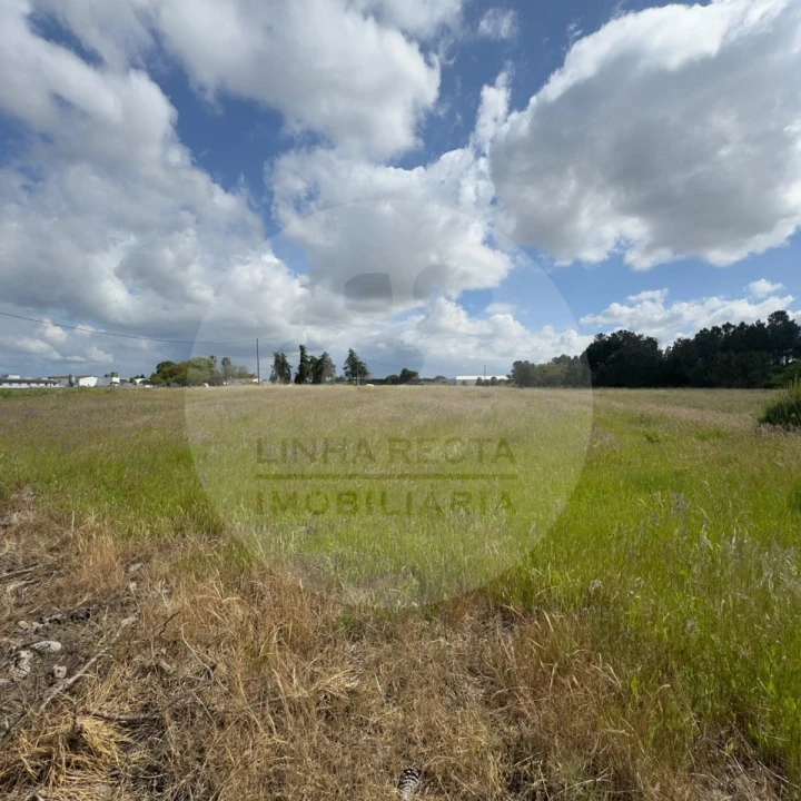 Terreno para Venda em Poceirão e Marateca Foto 1