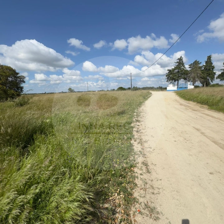 Terreno para Venda em Poceirão e Marateca Foto 3