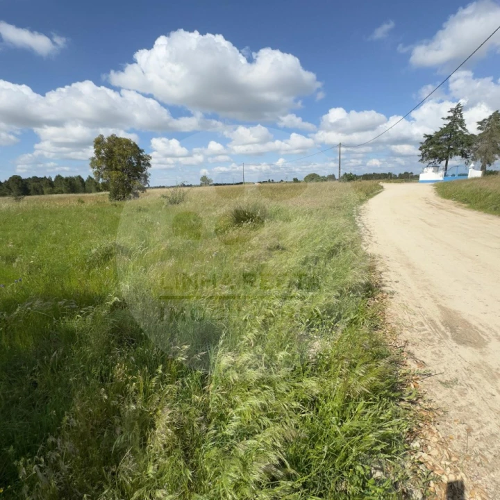 Terreno para Venda em Poceirão e Marateca Foto 5