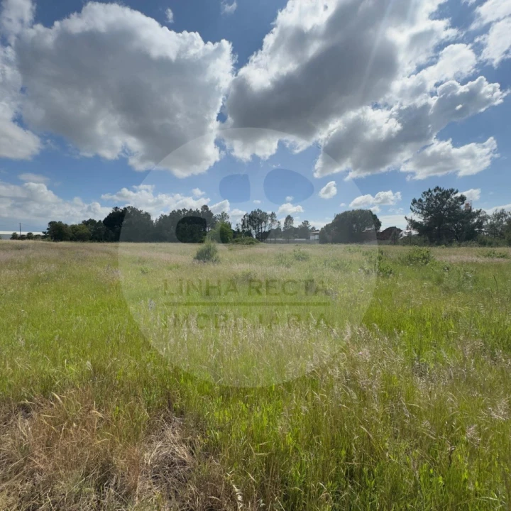 Terreno para Venda em Poceirão e Marateca Foto 8