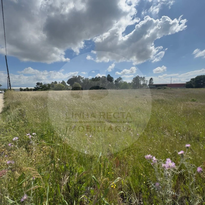 Terreno para Venda em Poceirão e Marateca Foto 10