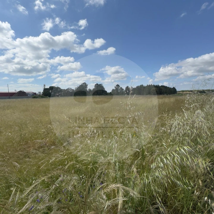Terreno para Venda em Poceirão e Marateca Foto 13
