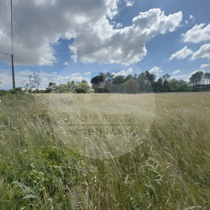 Terreno para Venda em Poceirão e Marateca Foto 14