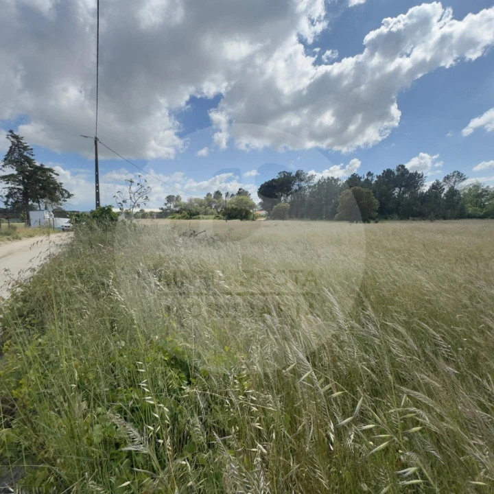 Terreno para Venda em Poceirão e Marateca Foto 15
