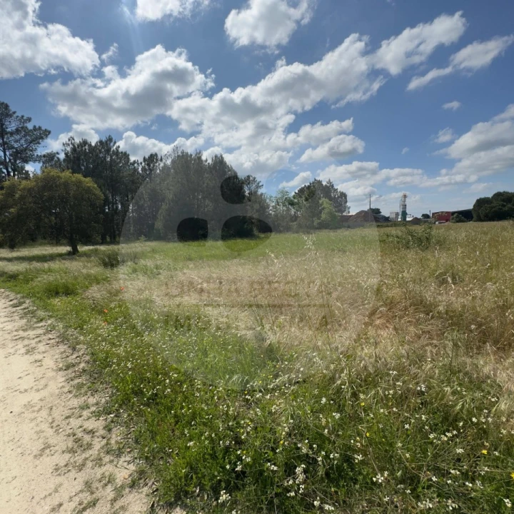 Terreno para Venda em Poceirão e Marateca Foto 16