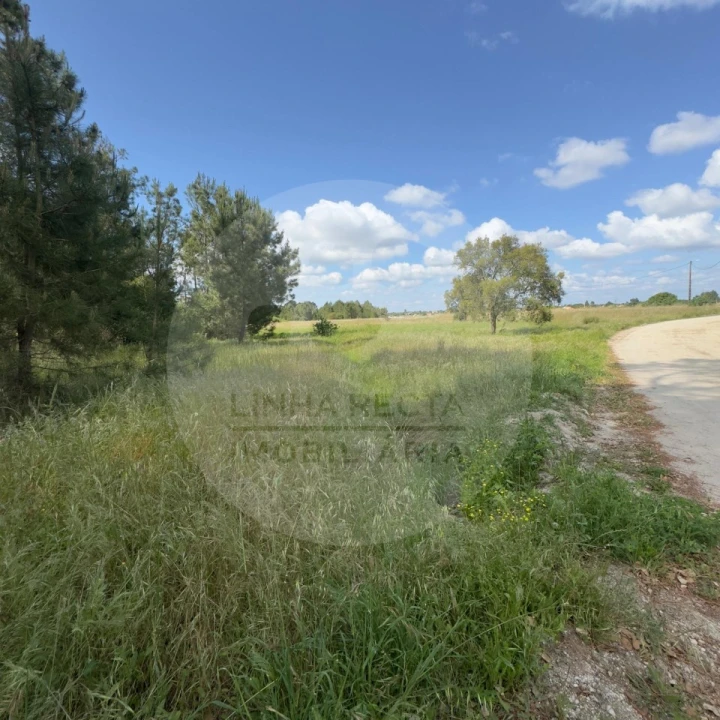 Terreno para Venda em Poceirão e Marateca Foto 19