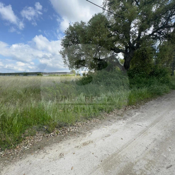Terreno para Venda em Poceirão e Marateca Foto 22