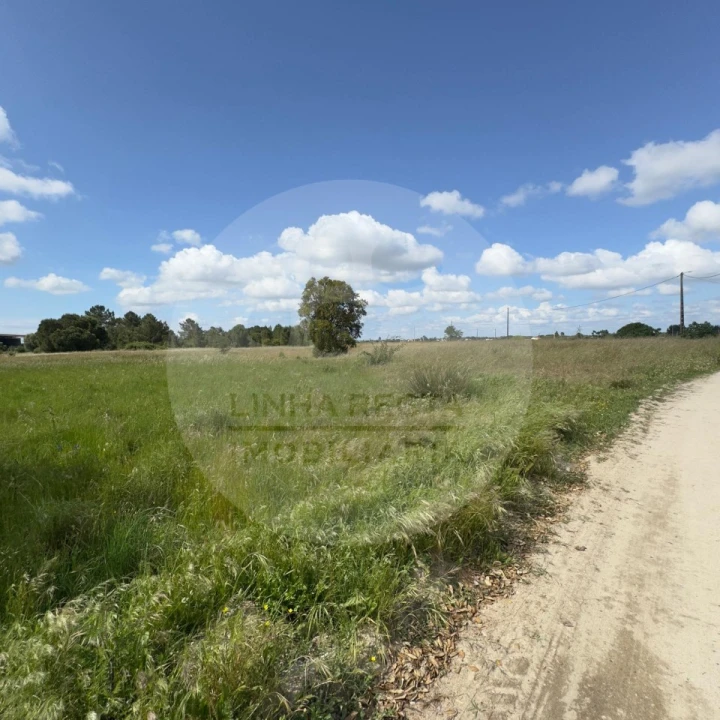 Terreno para Venda em Poceirão e Marateca Foto 25