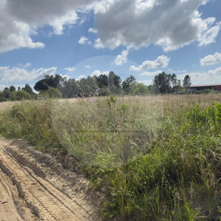 Terreno para Venda em Poceirão e Marateca Foto 29