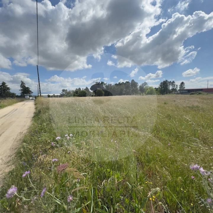 Terreno para Venda em Poceirão e Marateca Foto 30