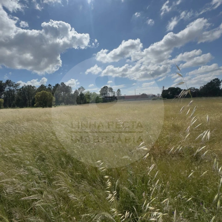 Terreno para Venda em Poceirão e Marateca Foto 31