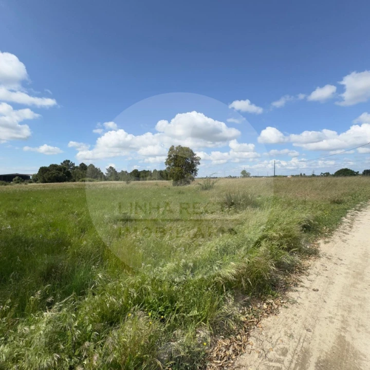 Terreno para Venda em Poceirão e Marateca Foto 33