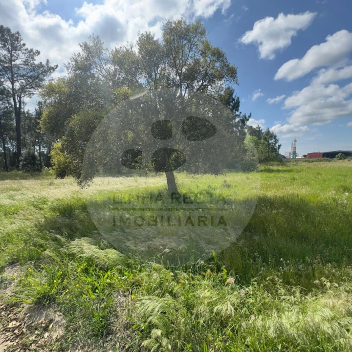 Terreno para Venda em Poceirão e Marateca Foto 35