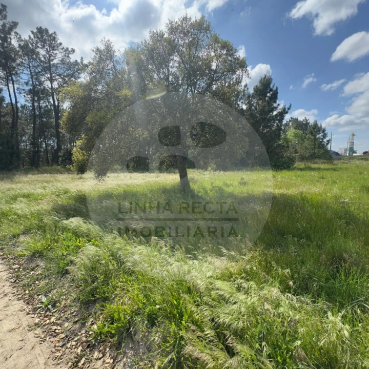 Terreno para Venda em Poceirão e Marateca Foto 37