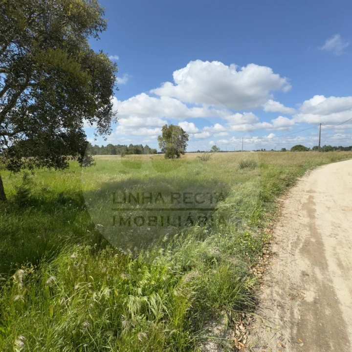 Terreno para Venda em Poceirão e Marateca Foto 38
