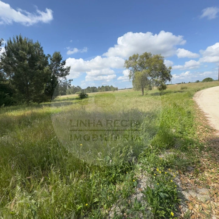 Terreno para Venda em Poceirão e Marateca Foto 39