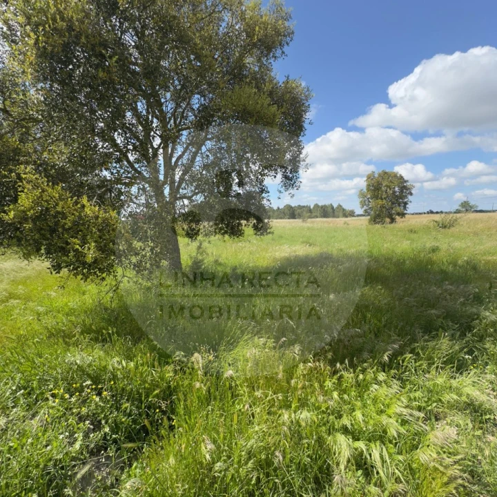 Terreno para Venda em Poceirão e Marateca Foto 40