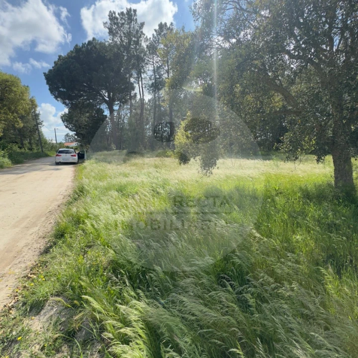 Terreno para Venda em Poceirão e Marateca Foto 42